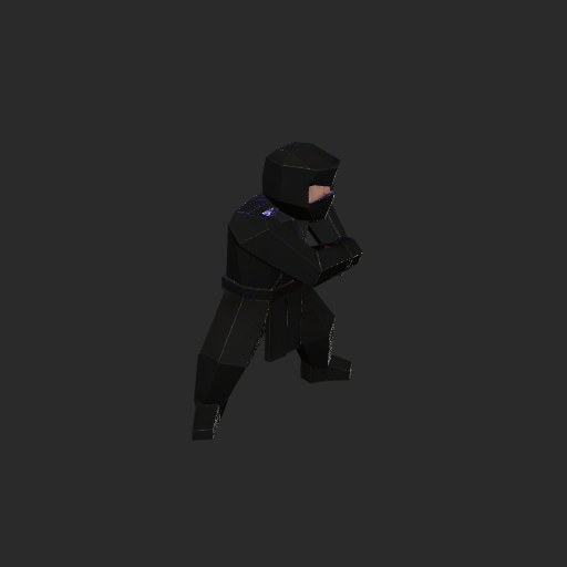 Ninja