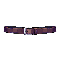8bit belt hero belt 038 v2 2026 03 10t18 57 54