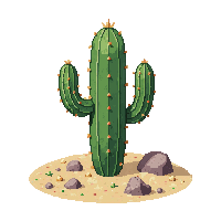 desert cactus small sparse sandy rocks