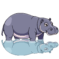 hippopotamus nile large gray water emerging