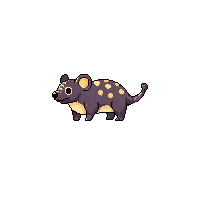 armadillo baby