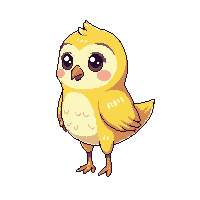 barn owl baby