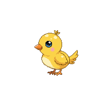 canary baby