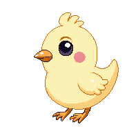 chicken baby