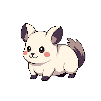 chinchilla baby