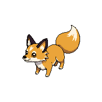 coyote baby