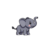 elephant baby