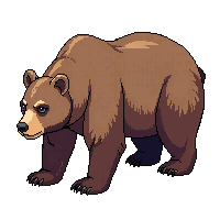 bear grizzly large brown standing
