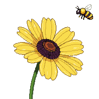 bee honeybee yellow fuzzy flower