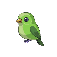 budgie green small bird perched