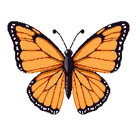 butterfly monarch orange wings flying