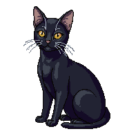 cat black sleek sitting elegant