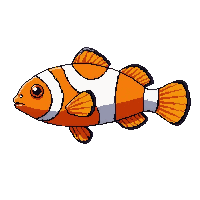 clownfish orange white stripes tropical