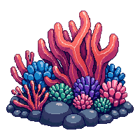 coral colorful reef formation