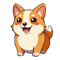 corgi short legs orange fluffy happy