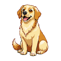 dog golden retriever friendly sitting