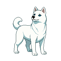 dog husky white blue eyes standing