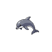 dolphin gray jumping playful ocean