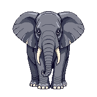 elephant large gray trunk tusks