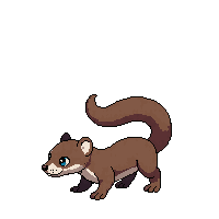 ferret brown long playful standing