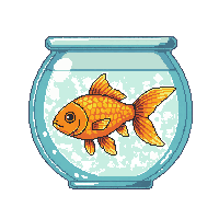 goldfish orange swimming bowl