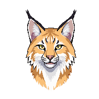 lynx wild cat tufted ears snowy