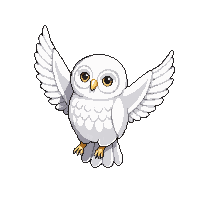 owl barn white heart face flying
