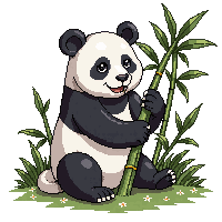 panda giant black white bamboo eating