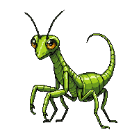 praying mantis green hunting pose