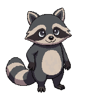 raccoon gray masked curious standing
