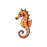 seahorse orange curled delicate