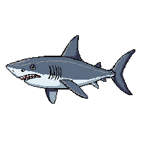 shark great white gray menacing