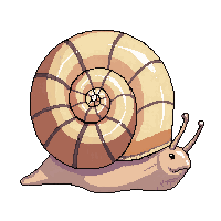 snail shell spiral slow crawling