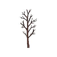 stick insect brown camouflage twig