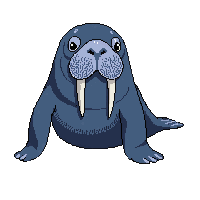 walrus large tusks whiskers arctic