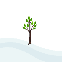 xmas christmas separator winter branch 019 2026 03 06T21 08 30