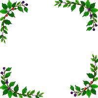 xmas mistletoe border frame green 032 v2 2026 03 06T21 08 30