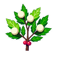 xmas mistletoe icon green leaves 041 v2 2026 03 06T21 08 30