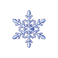 xmas snowflake icon detailed ice 032 v2 2026 03 06T21 08 30