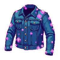 denim jacket enchanted