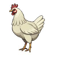 cozy chicken hen farm bird 091 v10 2026 03 25t19 14 54