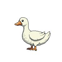 cozy duck bird farm fowl 076 v8 2026 03 25t19 14 54