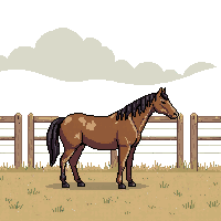 cozy horse farm brown equine 028 v3 2026 03 25t19 14 54