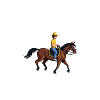 cozy horse farm brown equine 048 v5 2026 03 25t19 14 54
