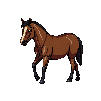 cozy horse farm brown equine 058 v6 2026 03 25t19 14 54
