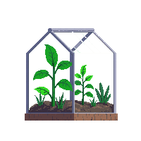 cozy greenhouse glass plant house 086 v9 2026 03 25T19 14 54