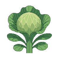 cozy cabbage head green leafy 006 2026 03 25T19 14 54