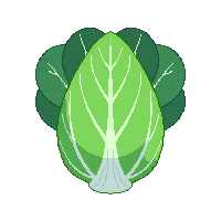 cozy cabbage head green leafy 016 v2 2026 03 25T19 14 54