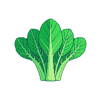 cozy cabbage head green leafy 026 v3 2026 03 25T19 14 54