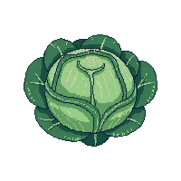 cozy cabbage head green leafy 046 v5 2026 03 25T19 14 54
